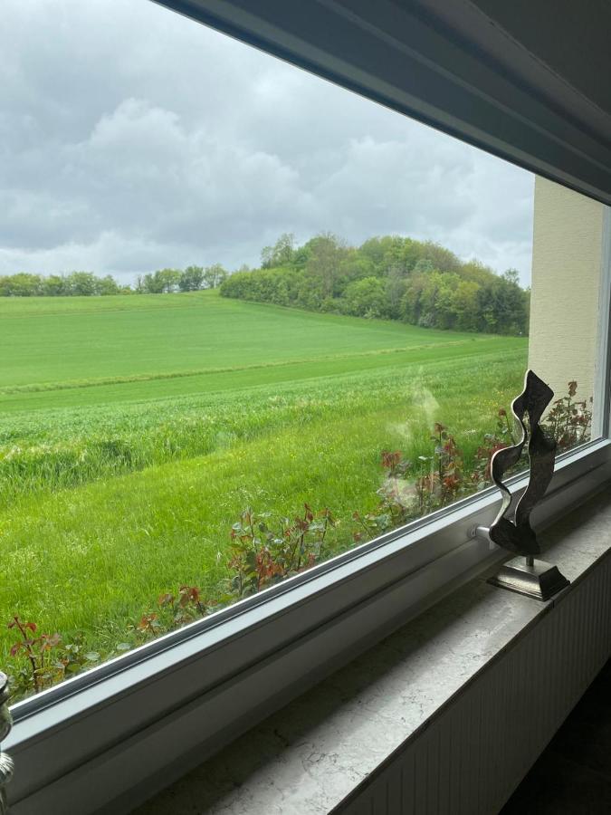 Ferienwohnung Haus Abrioux Zur Falkenlay Bad Bertrich Esterno foto